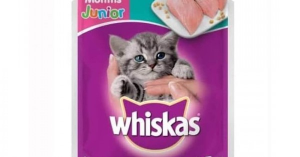 Whiskas junior outlet wet food